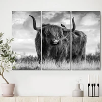 Designart - Longhaired Scottish Bull