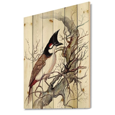 Designart - Vintage Beautiful Bird On A Branch