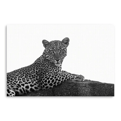 Leopard In Black And White Canvas Giclee