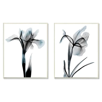 Stupell Industries Contrast Black And Blue Flower Bloom Designs,10" x 15"