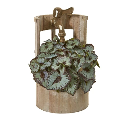 12" Rex Begonia in Faucet Planter