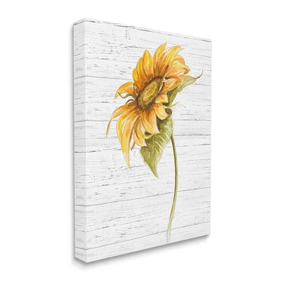 Stupell Industries Blooming Sunflower Canvas Wall Art