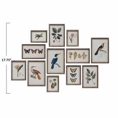 Wood Framed Glass Wall Décor Set with Insects, Birds, Plants and Fruit