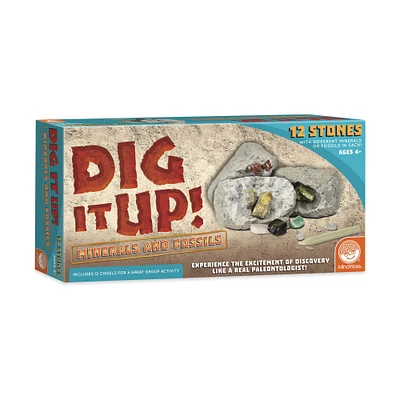 Dig It Up! - Minerals and Fossils