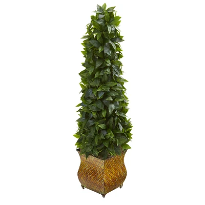 3ft. Sweet Bay Magnolia Cone Topiary Tree in Decorative Metal Planter