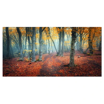 Designart - Red and Yellow Autumn Forest