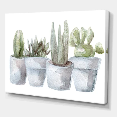 Designart - Cactus and Succulent House Plants V - Farmhouse Canvas Wall Art Print