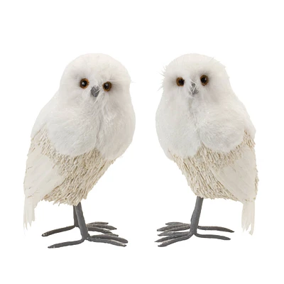 12.5" Winter Owl Décor Set