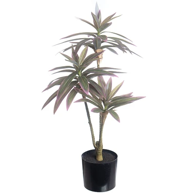 20" Potted Dracaena Plant by Ashland®