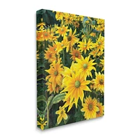 Stupell Industries Sunflower Field Blooming Green Bulbs Yellow Petals Canvas Wall Art