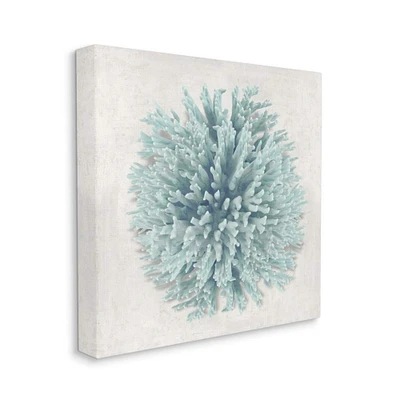 Stupell Industries Coral Ball Blue Sea Beach Design Canvas Wall Art