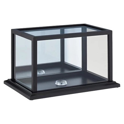 Black Football Display Case With Mirrored Back by Studio Décor®