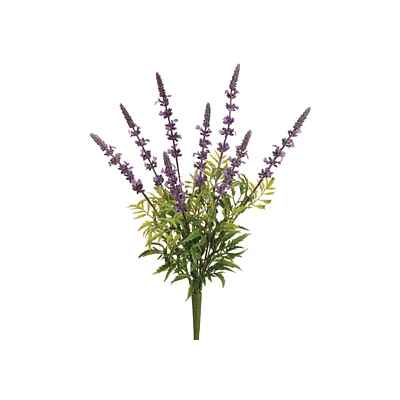 24 Pack: Purple Garden Lavender Bush