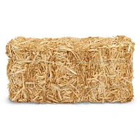 12 Pack: 13" Decorative Straw Bale by Ashland®