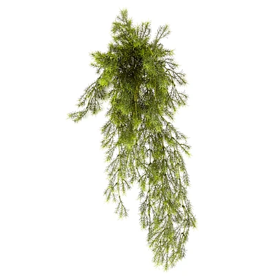 12 Pack: Green Springeri Fern Bush by Ashland®