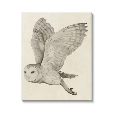 Stupell Industries Flying Barn Owl Wings Detailed Drawing Canvas Wall Art