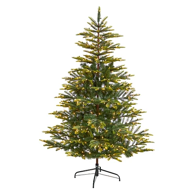 6ft. Pre-Lit Barcelona Mountain Spruce Artificial Christmas Tree, Clear LED Lights