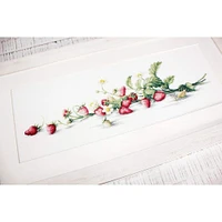 Luca-s Etude With Strawberries Counted Cross Stitch Kit