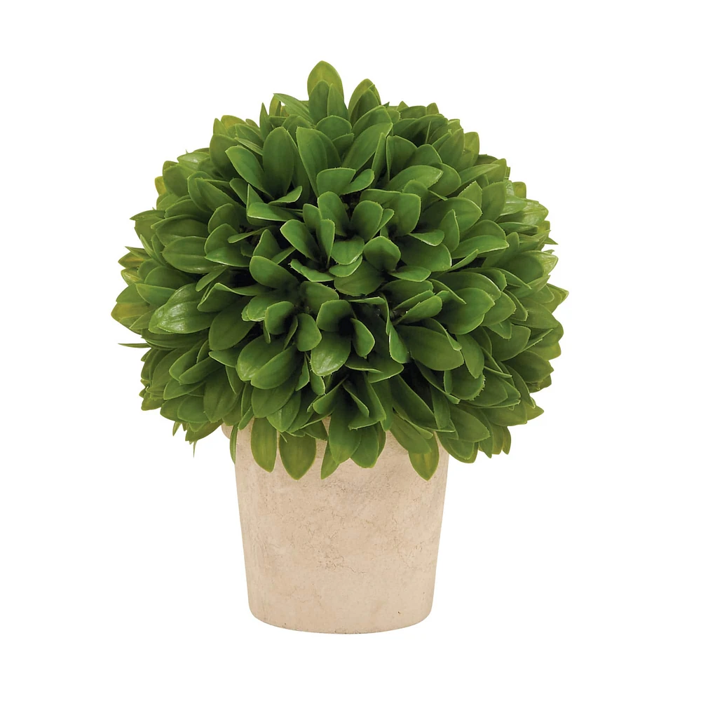 10" Boxwood Topiary in Decorative Planter