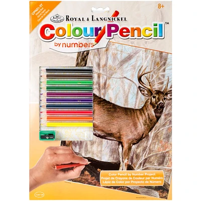 Royal & Langnickel® Whitetail Buck Colour Pencil™ by Number Kit