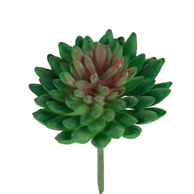 Flora Bunda® Bean Succulent Pick