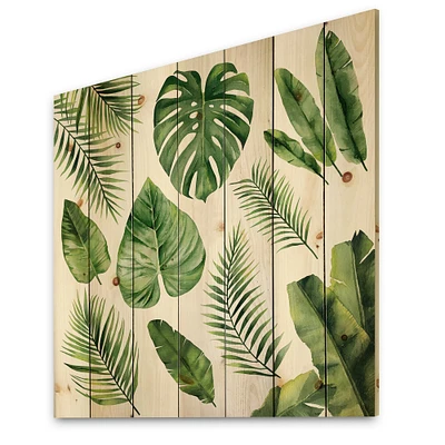 Designart - Tropical Leaf Of Monstera V