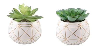 Flora Bunda® 4" Succulent in Geo Gold Round Ceramic Pot, 2ct.