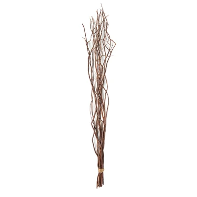 Natural Tall Curly Willow by Ashland®