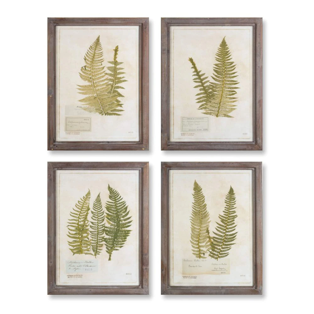 2ft. Fern Print Wooden Frame Set