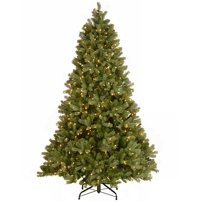 6.5tt. Pre-Lit Downswept Douglas® Fir Artificial Christmas Tree, Dual Color® LED Lights