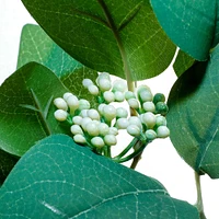 Eucalyptus Leaves & Berries Pick by Ashland®