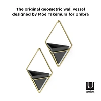 Umbra Trigg Wall Accent Set