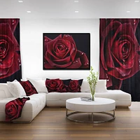 Designart - Red Rose with Raindrops on Black