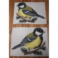 Birds Plastic Canvas Counted Cross Stitch Kit