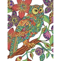 Dimensions® Pencilworks™ Flowering Owl Color By Number Kit