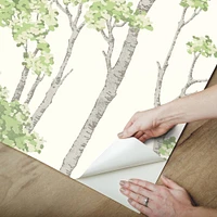 RoomMates Green & Gray Birch Grove Peel & Stick Wallpaper