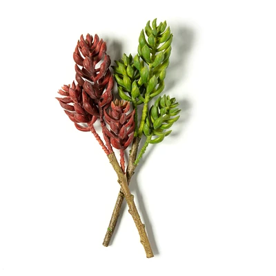 Assorted Succulent Pick with 3 Heads By Ashland®