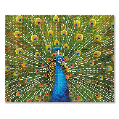 6 Pack: Peacock Diamond Art Kit by Make Market®