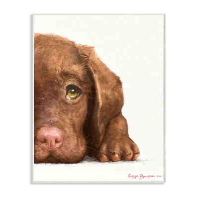 Stupell Industries Chocolate Labrador Puppy Resting Adorable Dog Portrait Wall Plaque