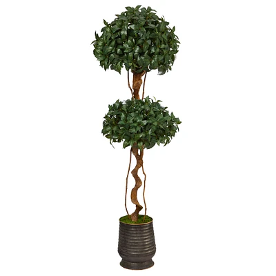 5.5ft. Sweet Bay Double Ball Topiary Tree in Ribbed Metal Planter