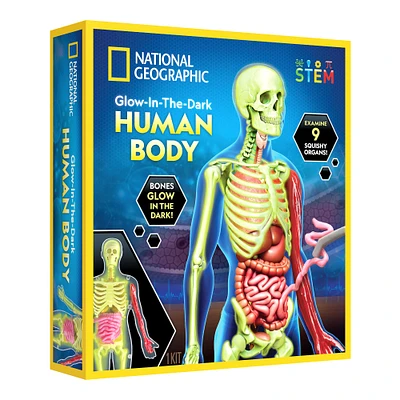 National Geographic™ Glow-in-the-Dark Human Body