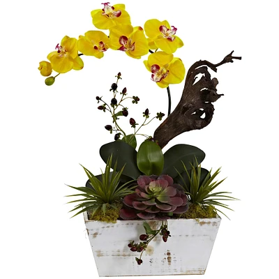 21" Yellow Orchid & Succulent Garden with Whitewashed Planter