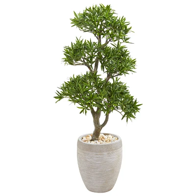 3.5ft. Bonsai Tree in Sandstone Planter