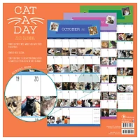 2023 Cat-A-Day Wall Calendar