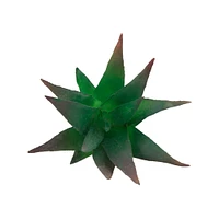 Flora Bunda® Aloe Vera Succulent Pick, 6ct.