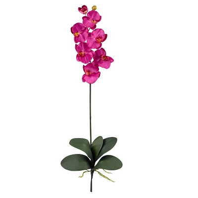 Beauty Pink Moth Orchid Stem, 6ct.