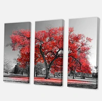 Designart - Big Red Tree on Foggy Day