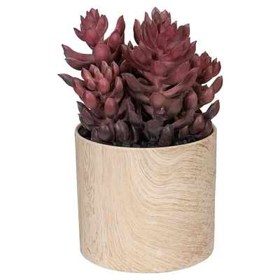 7" Purple Succulent in Faux Wood Pot