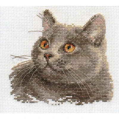 Alisa British Cat Cross Stitch Kit