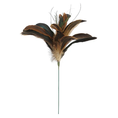 Natural Brown Peacock Feather Pick by Ashland®
